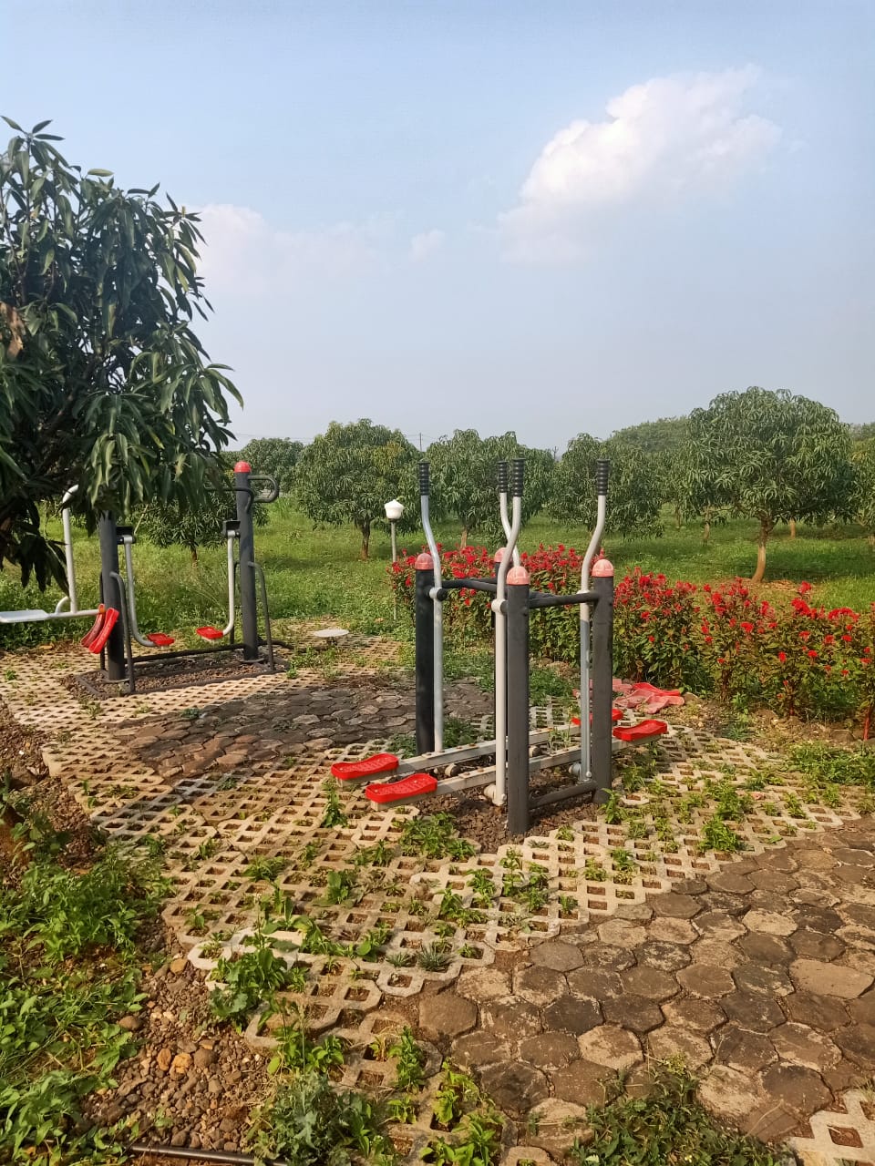 Nature's gym