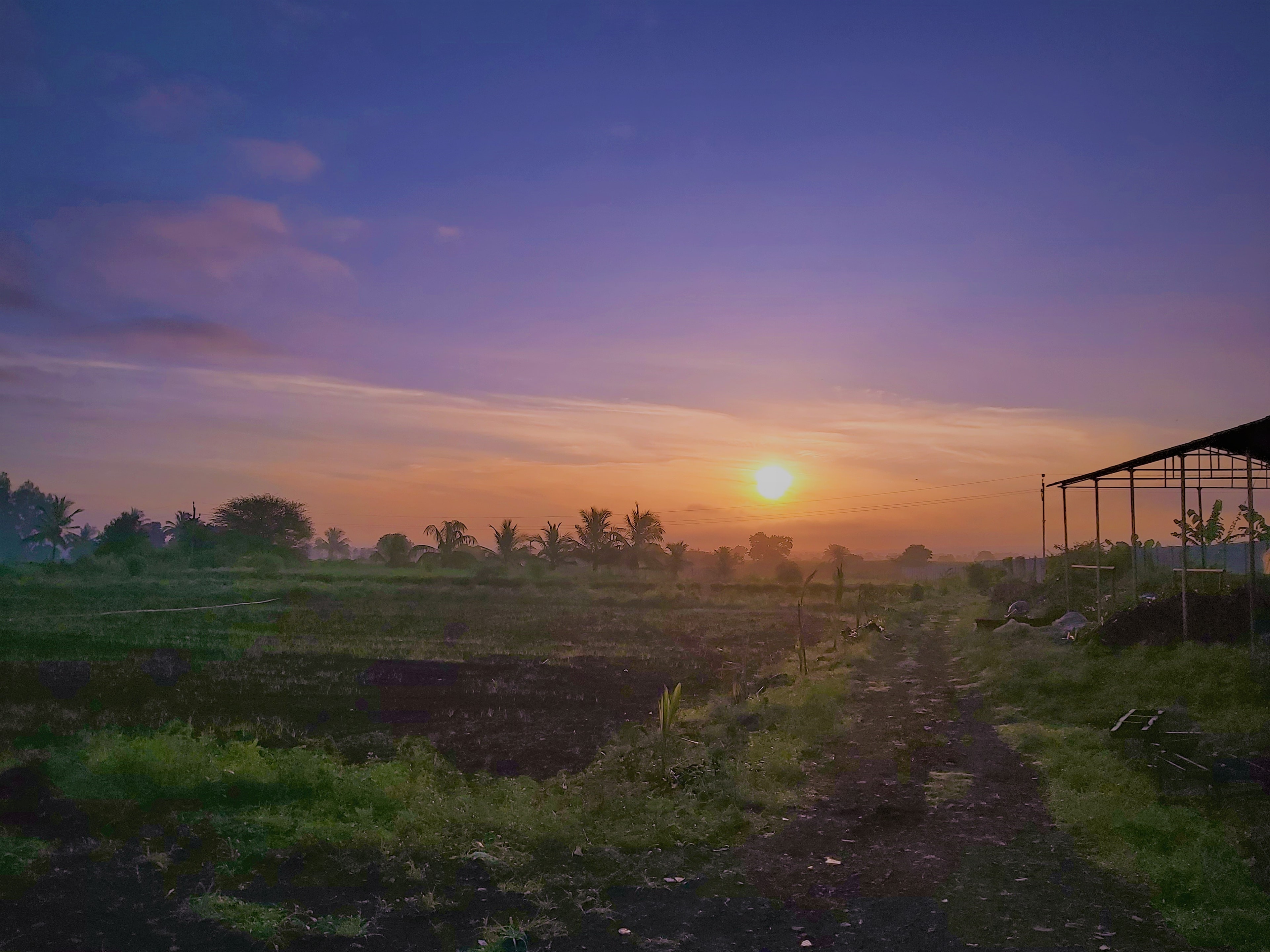 Lush green farm view at sunrise
