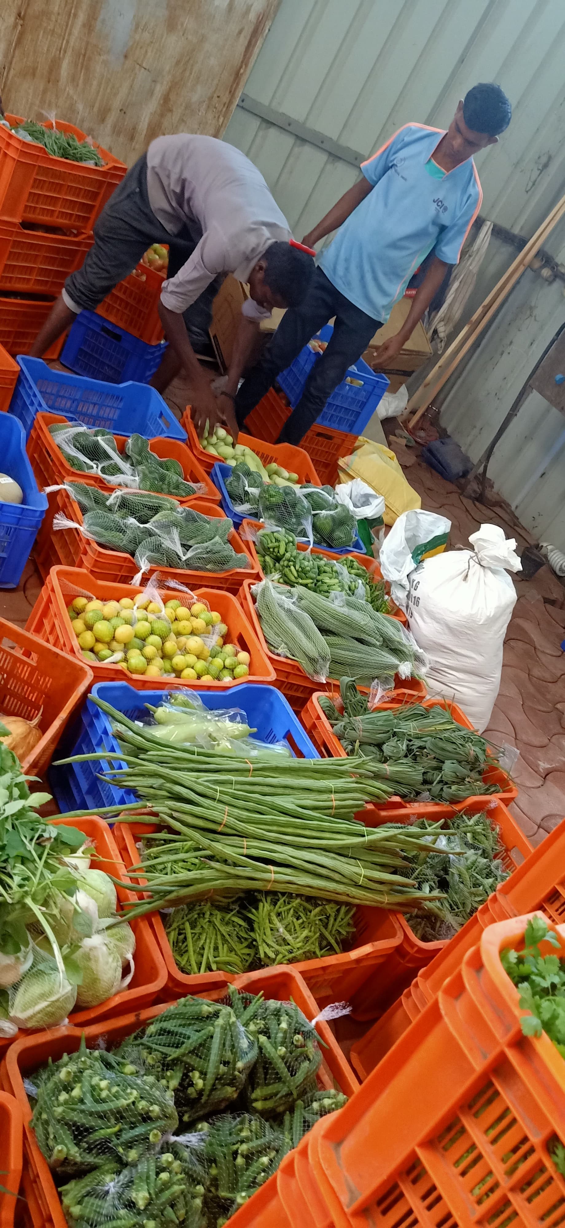 Farm fresh meal