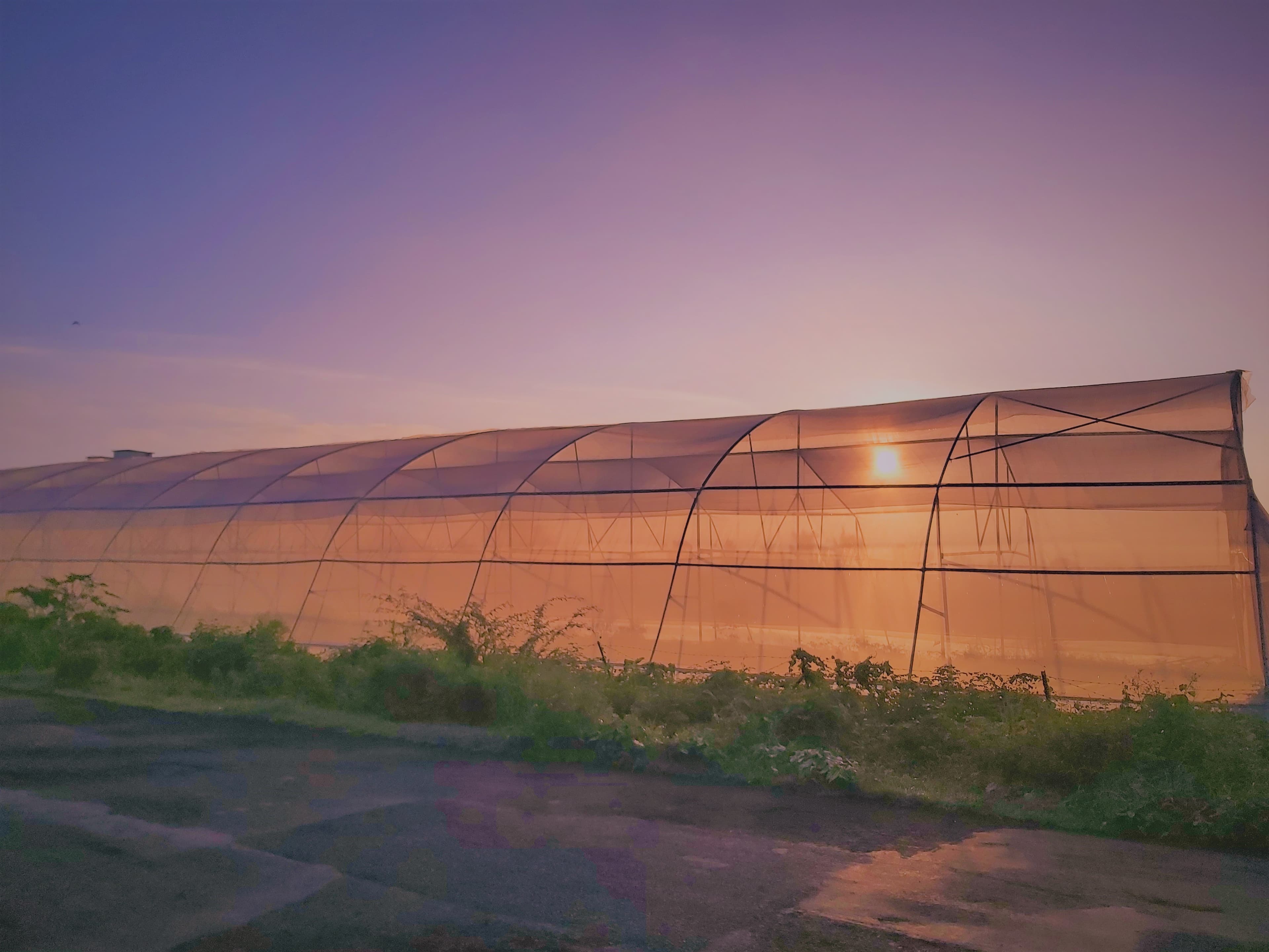 Organic farming