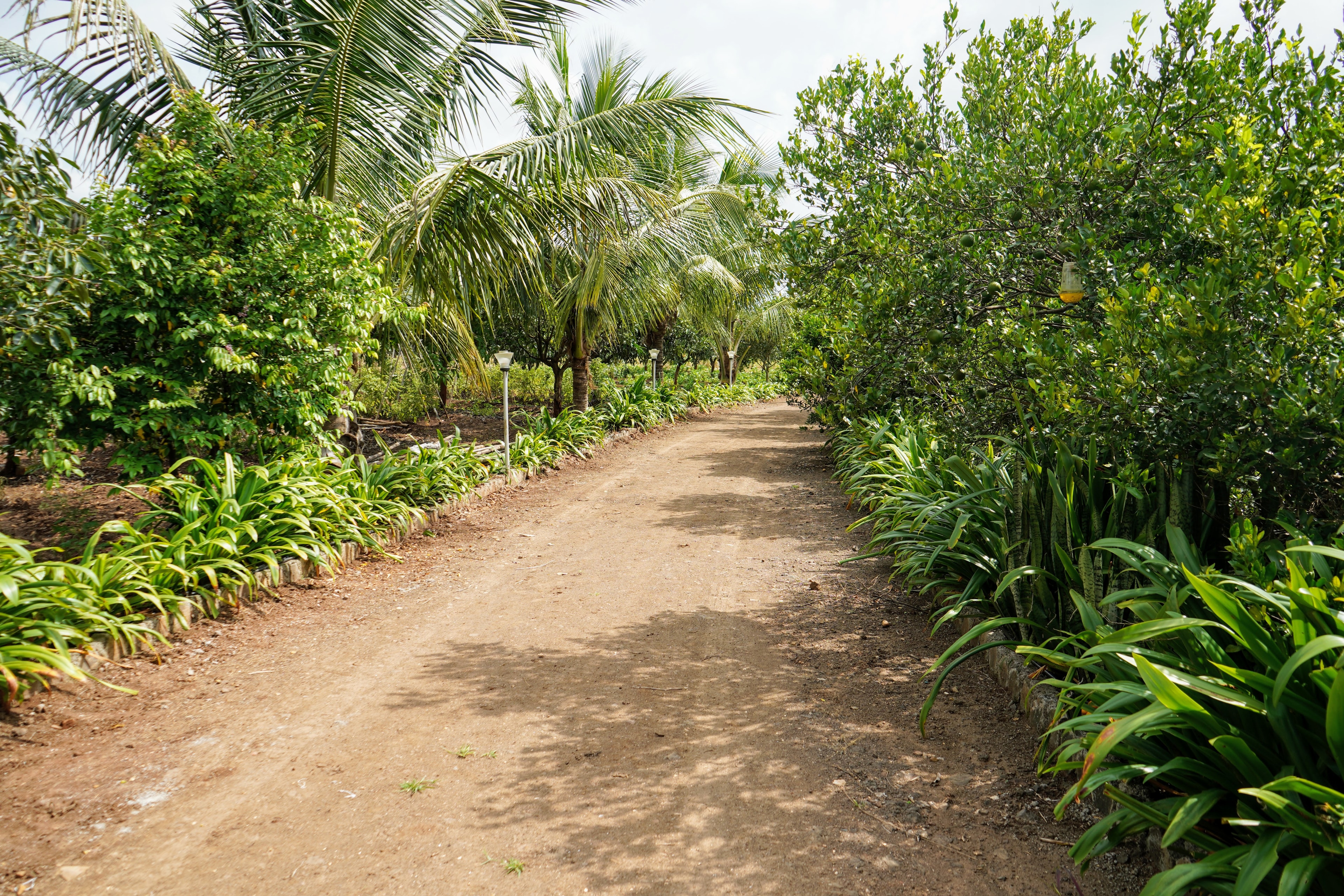 Farm paths